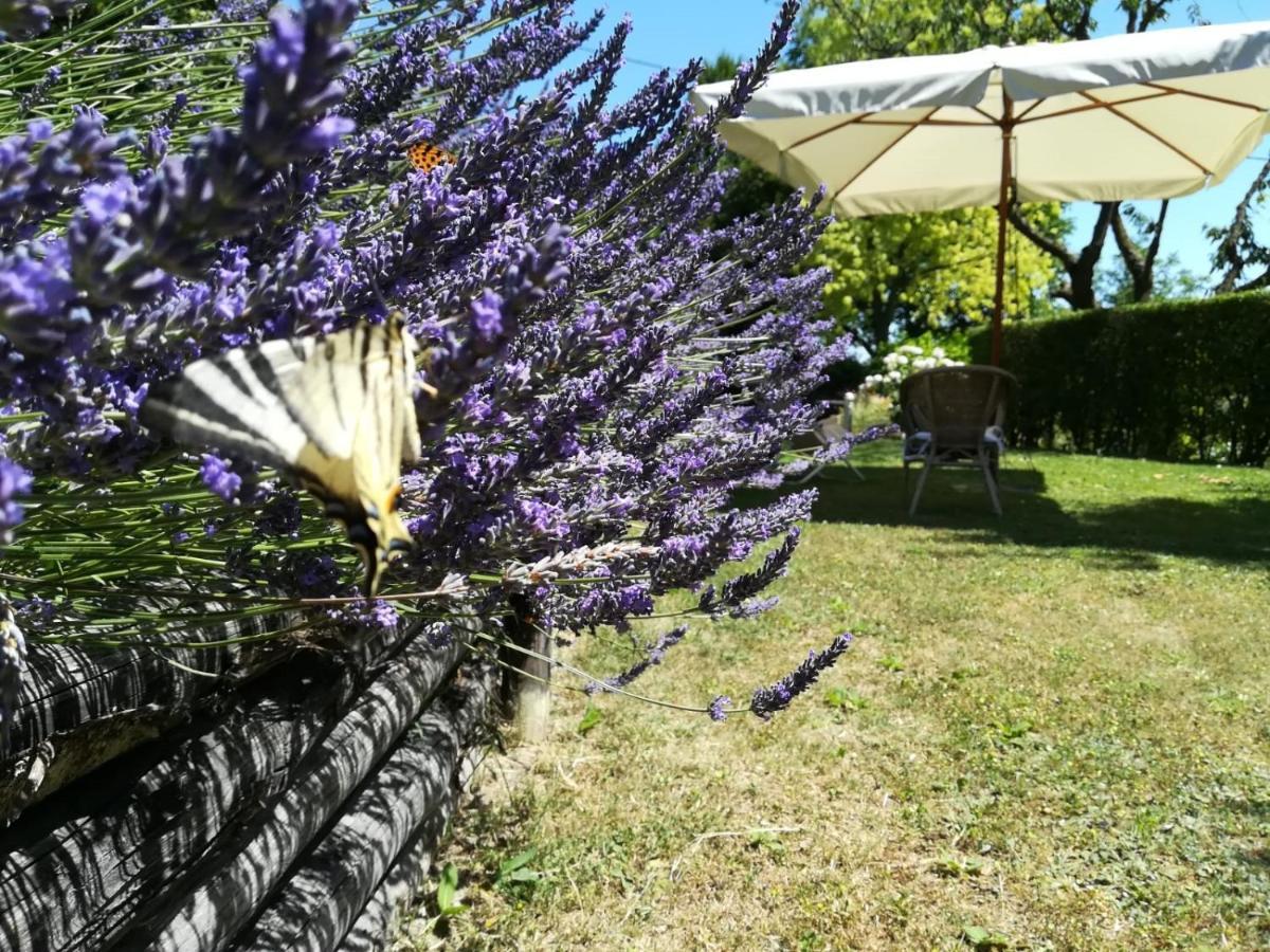 Cocconato Sotto La Luna Bruna B&B מראה חיצוני תמונה