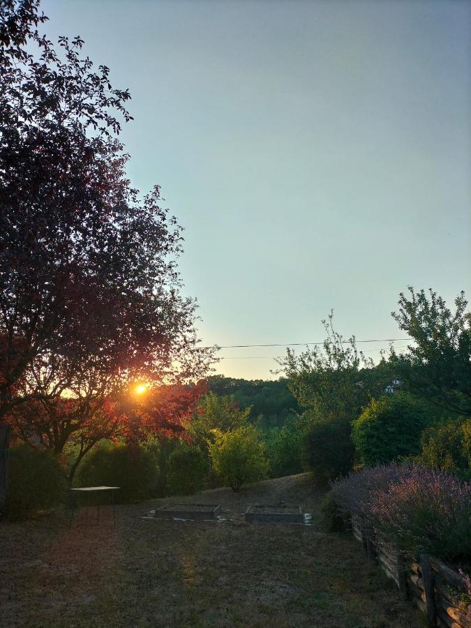 Cocconato Sotto La Luna Bruna B&B מראה חיצוני תמונה