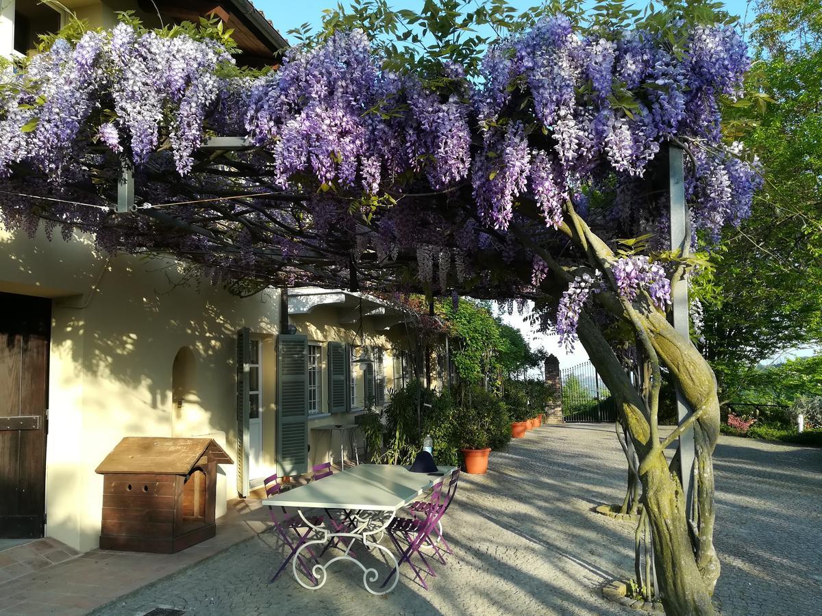 Cocconato Sotto La Luna Bruna B&B מראה חיצוני תמונה