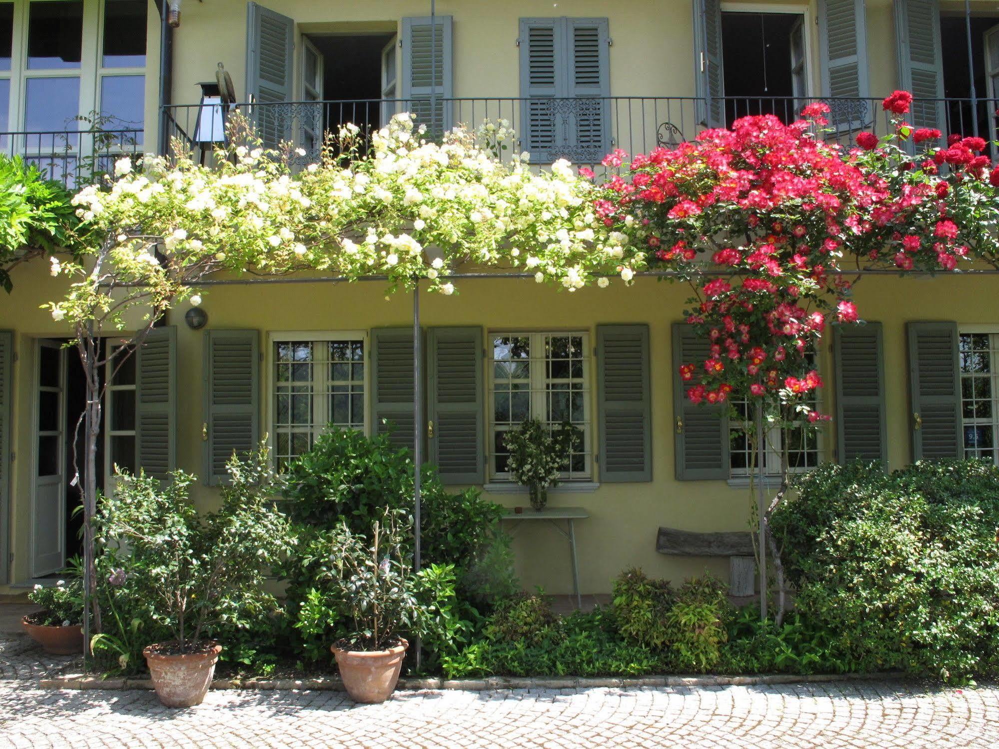 Cocconato Sotto La Luna Bruna B&B מראה חיצוני תמונה