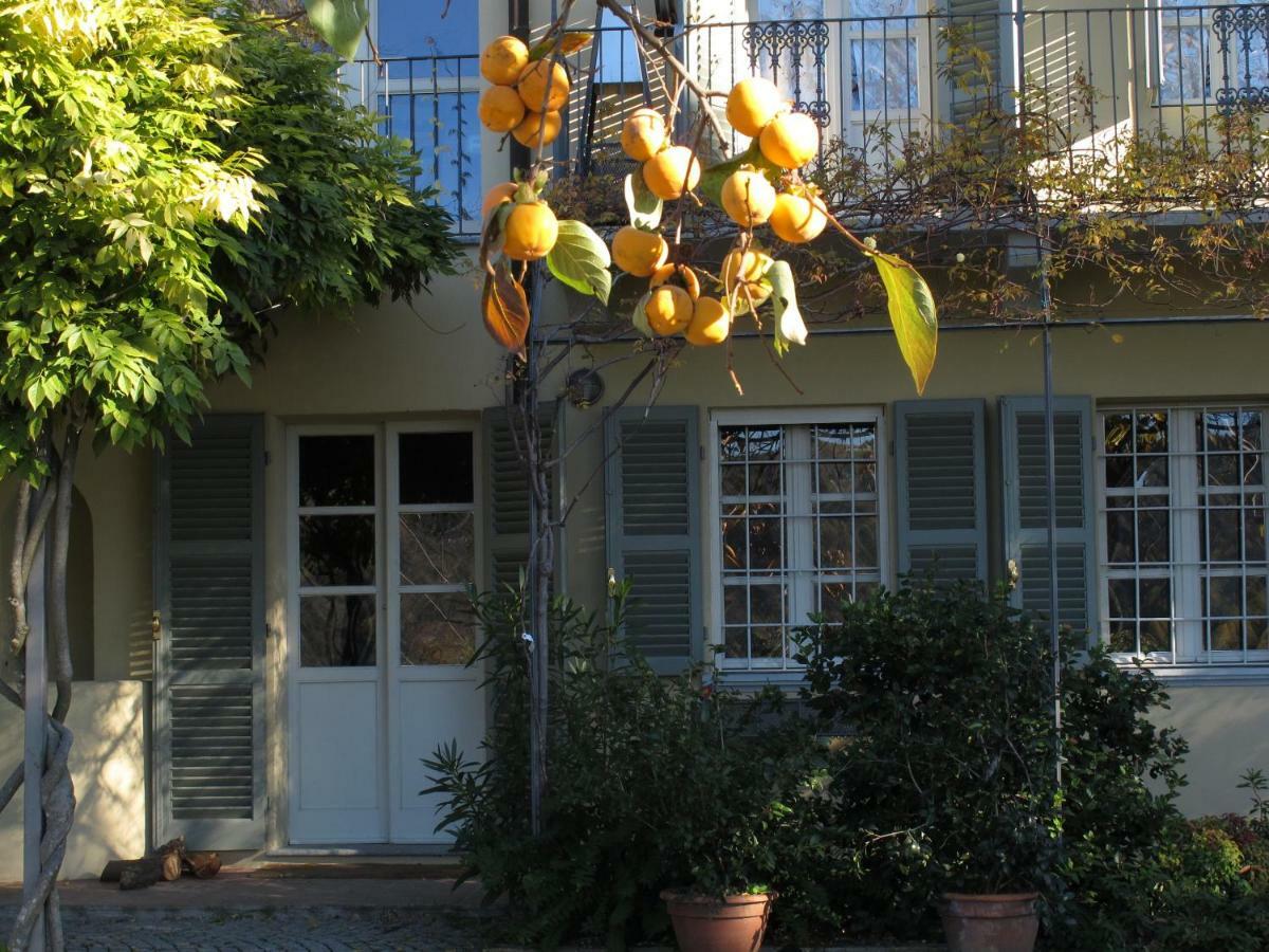 Cocconato Sotto La Luna Bruna B&B מראה חיצוני תמונה