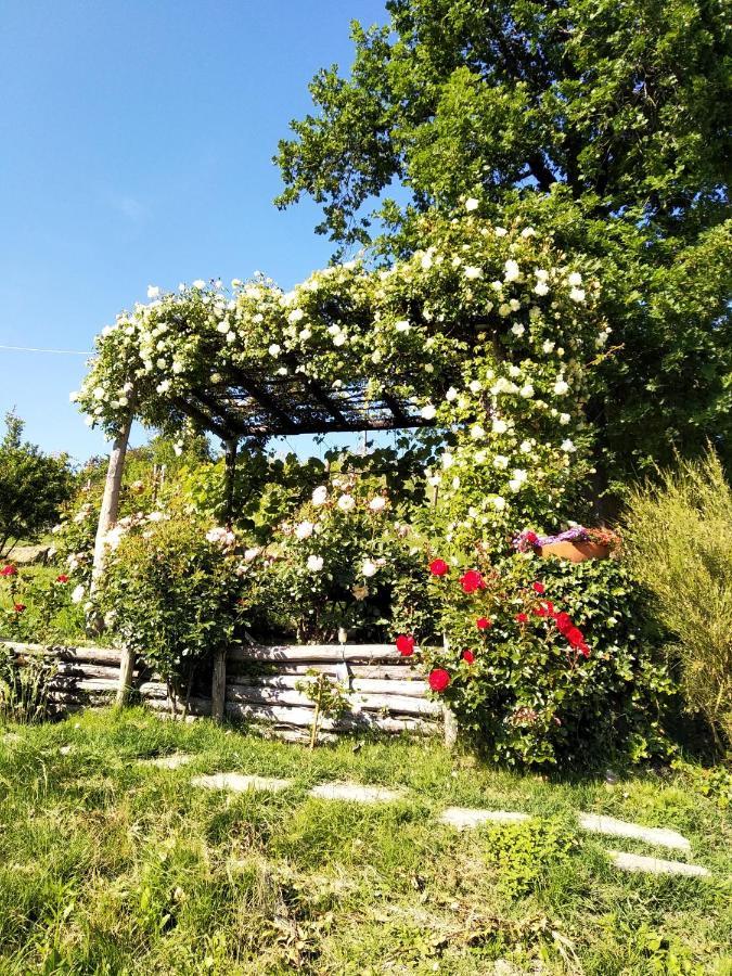 Cocconato Sotto La Luna Bruna B&B מראה חיצוני תמונה